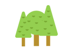 ป่าไม้และพื้นที่สีเขียว