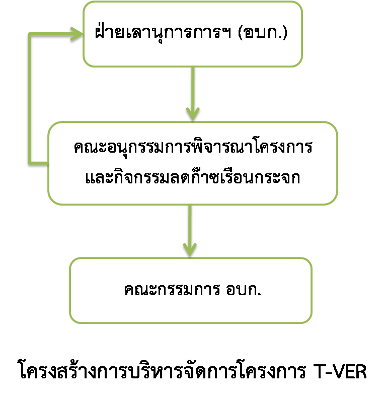 โครงสร้างการบริหารจัดการโครงการ T VER