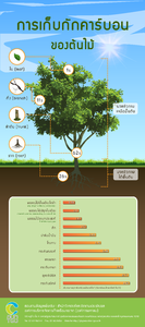 โปสเตอร์ การกักเก็บคาร์บอนของต้นไม้ Image 1
